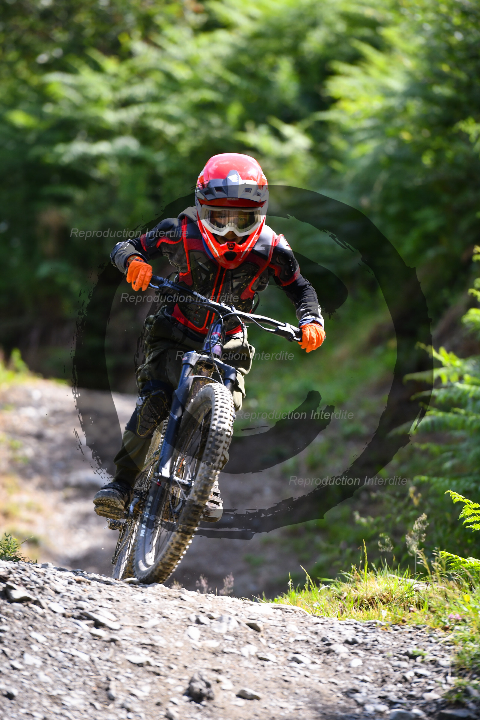 - VAL_7922 - 12H16.jpg