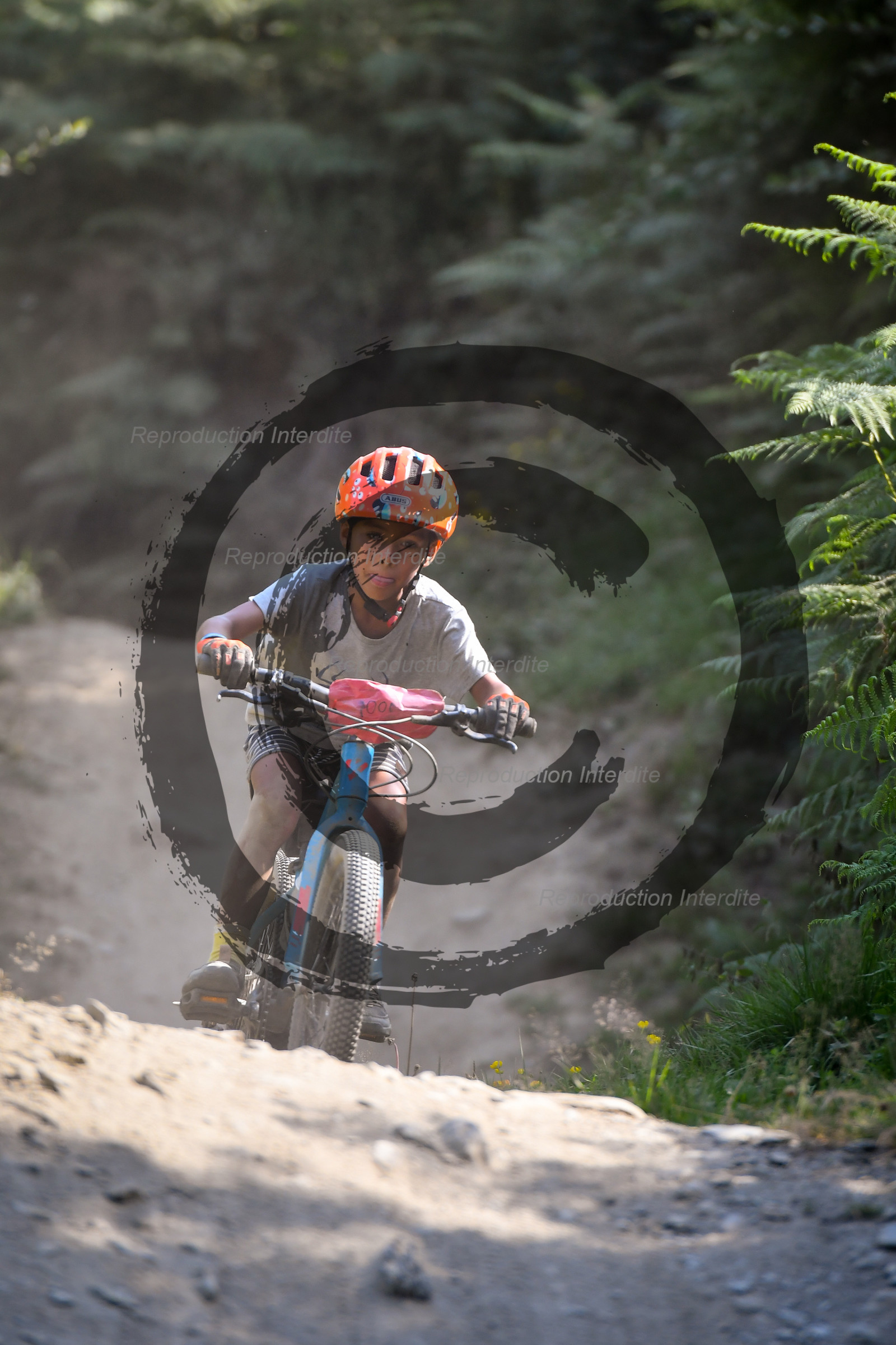 - VAL_3946 - 12H14.jpg