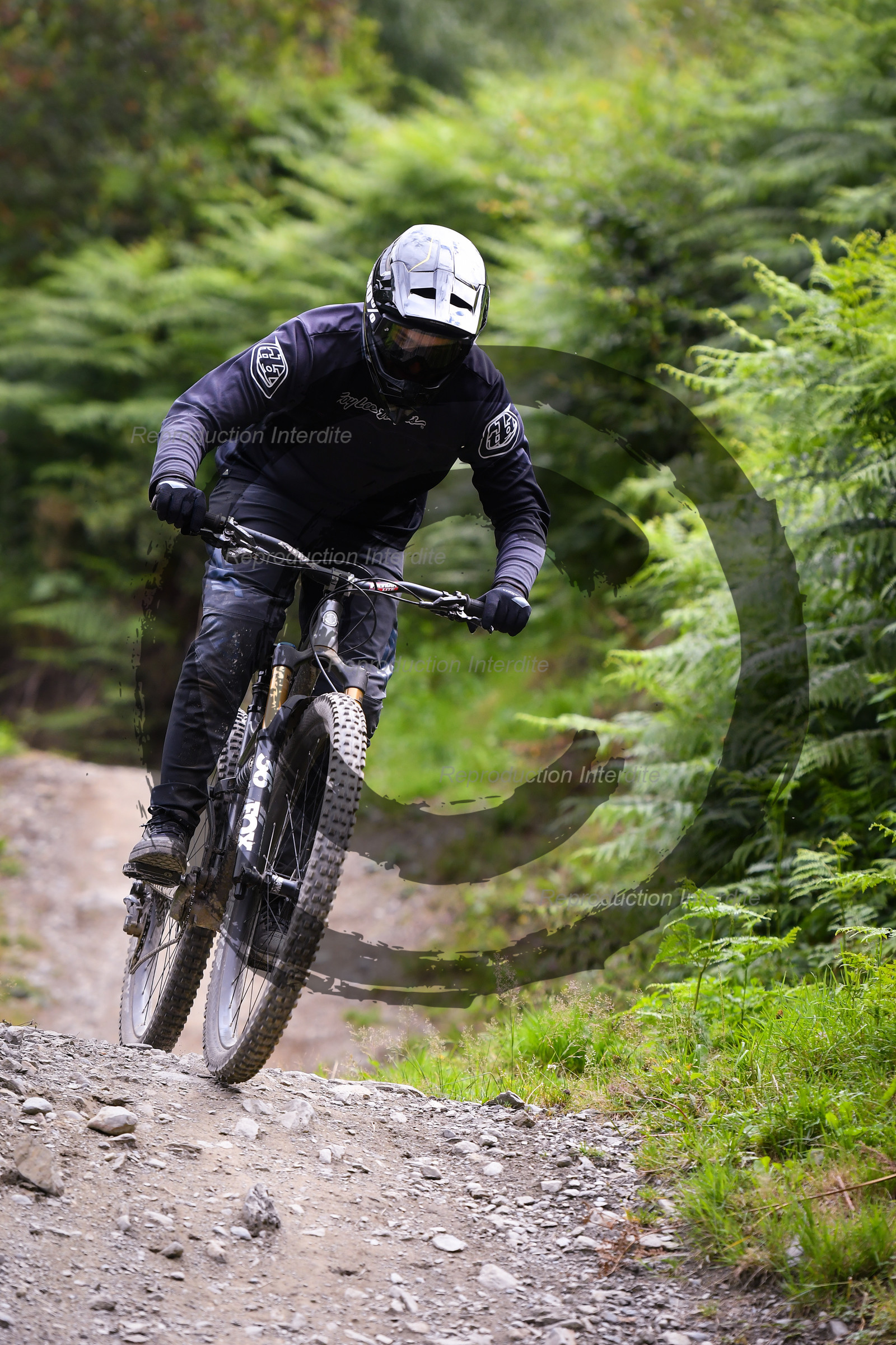 - VAL_9277 - 12H11.jpg