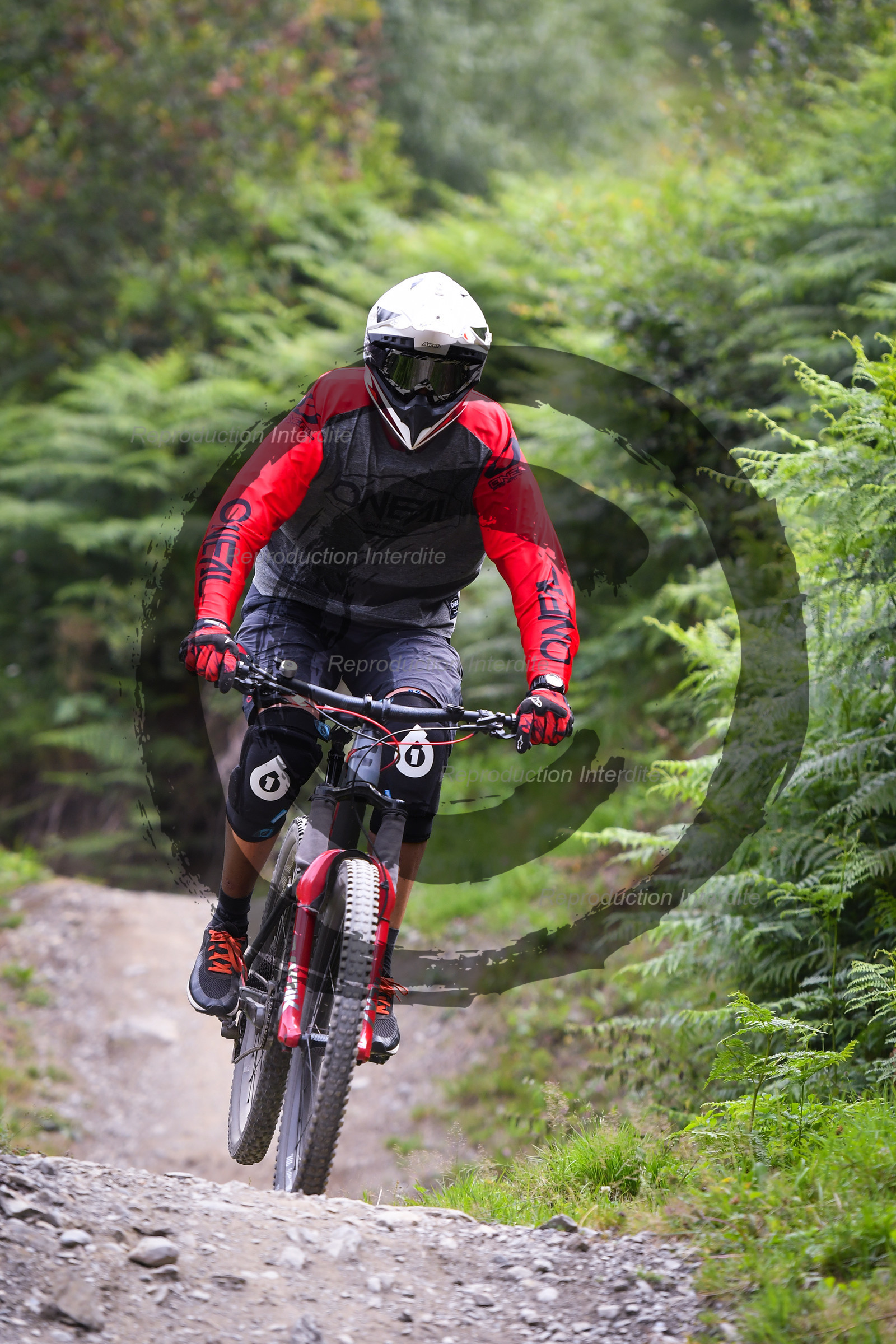 - VAL_9263 - 12H03.jpg