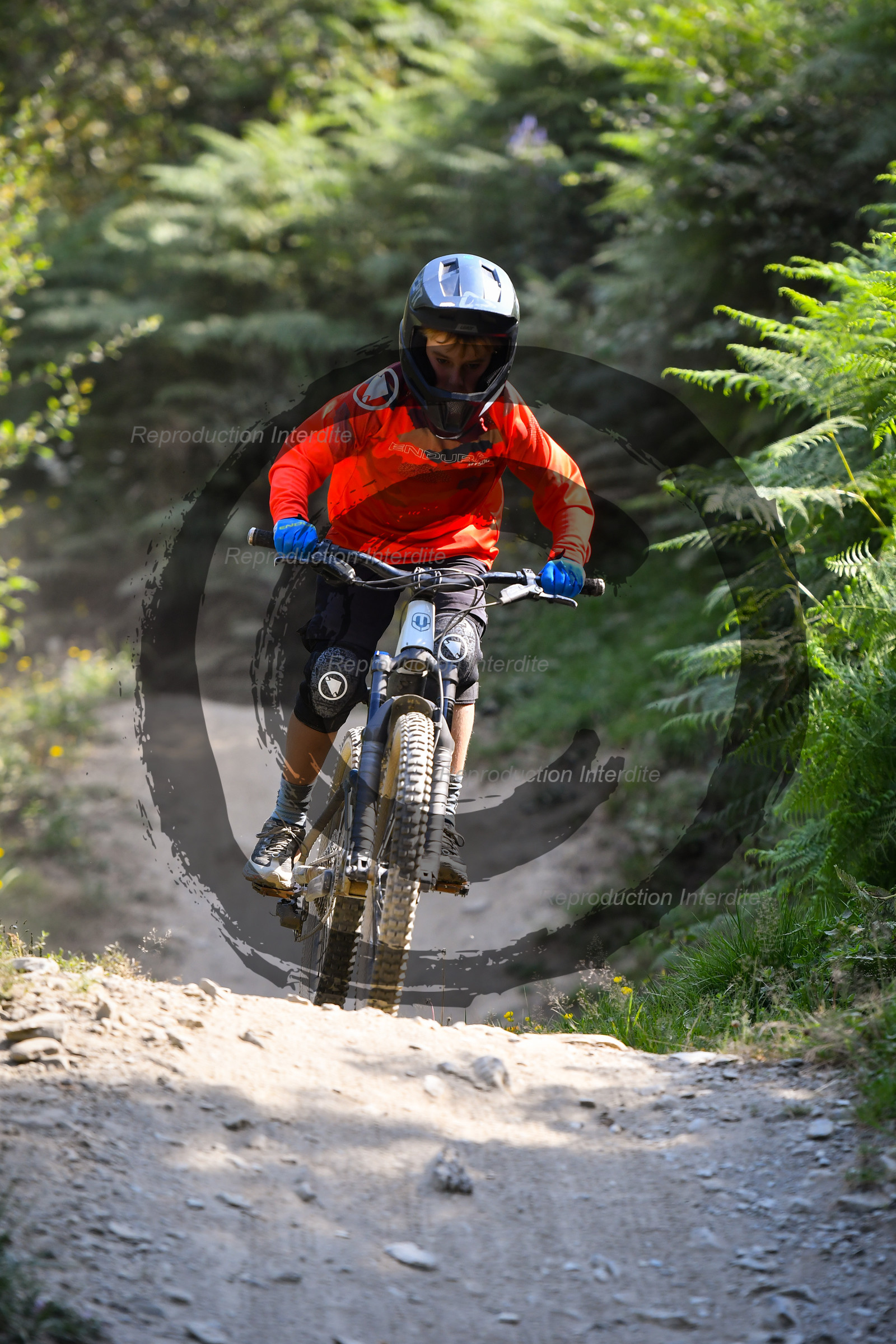 - VAL_3918 - 12H13.jpg