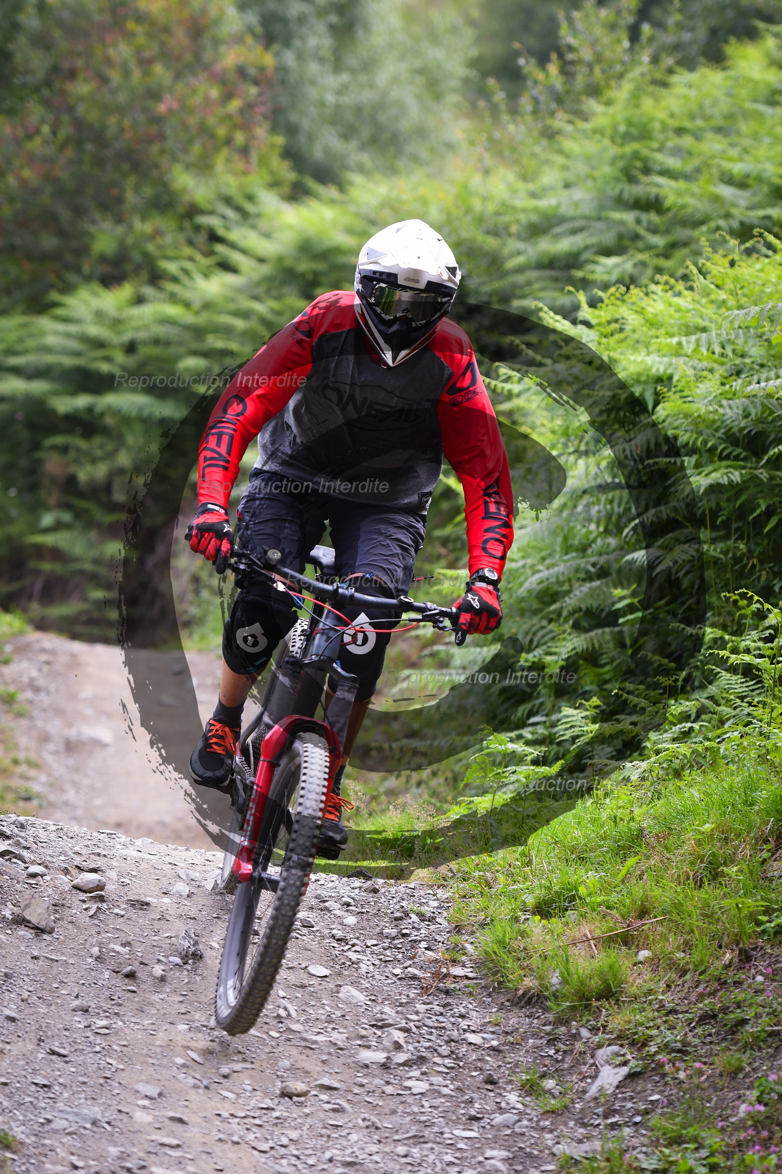 - VAL_9264 - 12H03.jpg