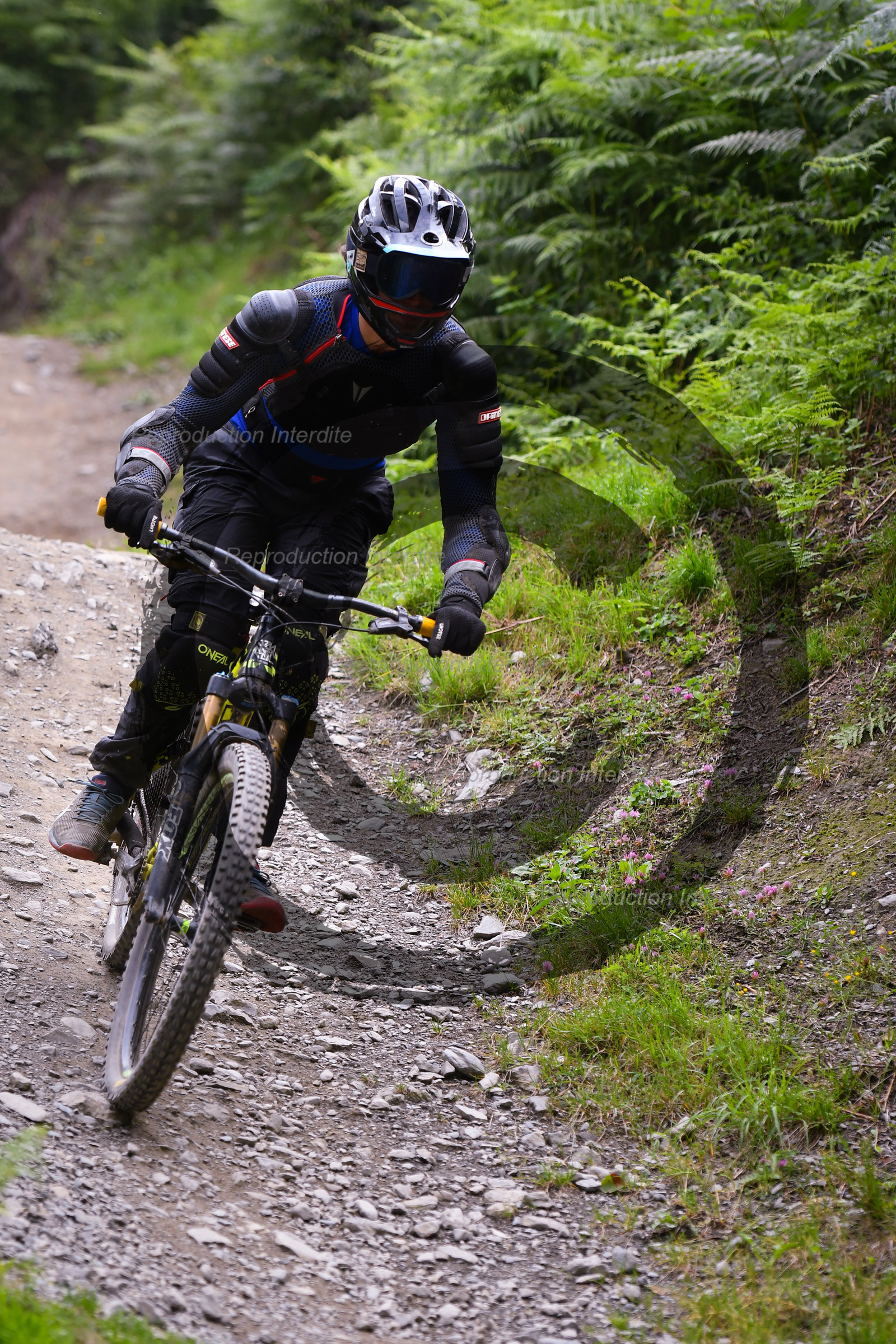 - VAL_9261 - 12H03.jpg