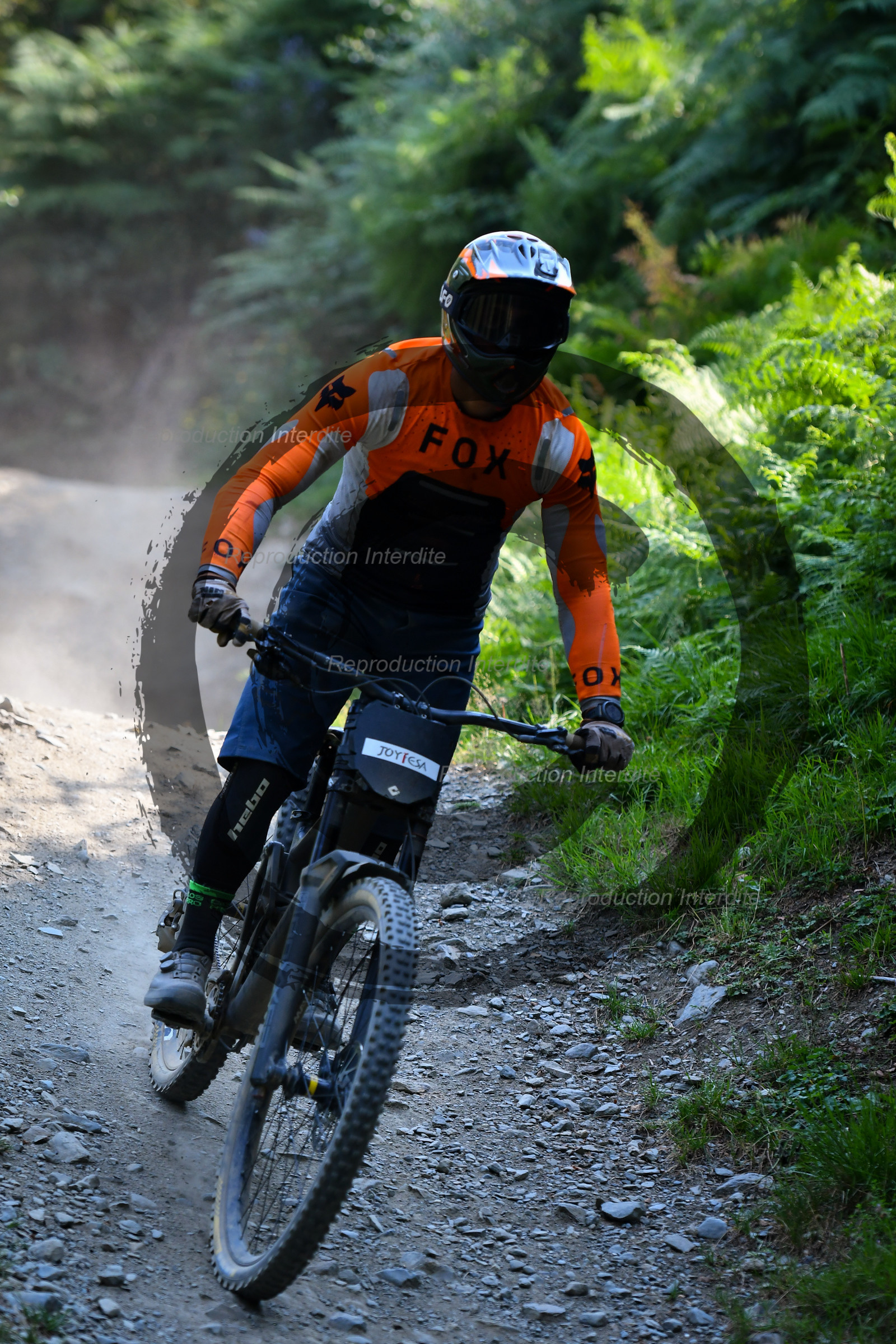 - VAL_4623 - 11H51.jpg