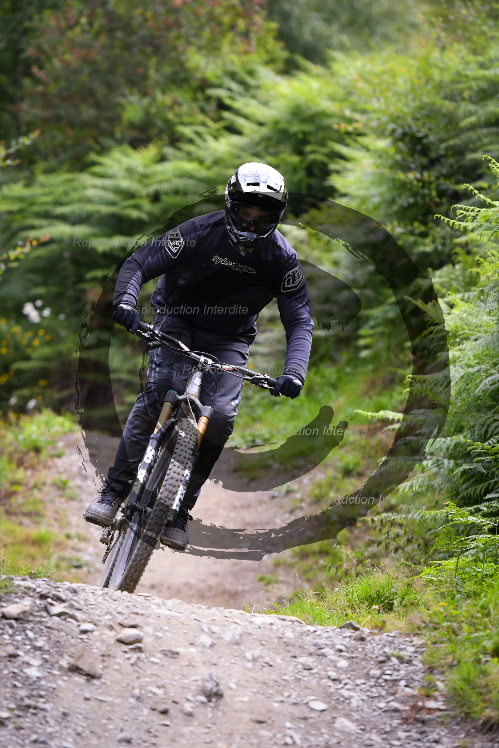 - VAL_9275 - 12H11.jpg