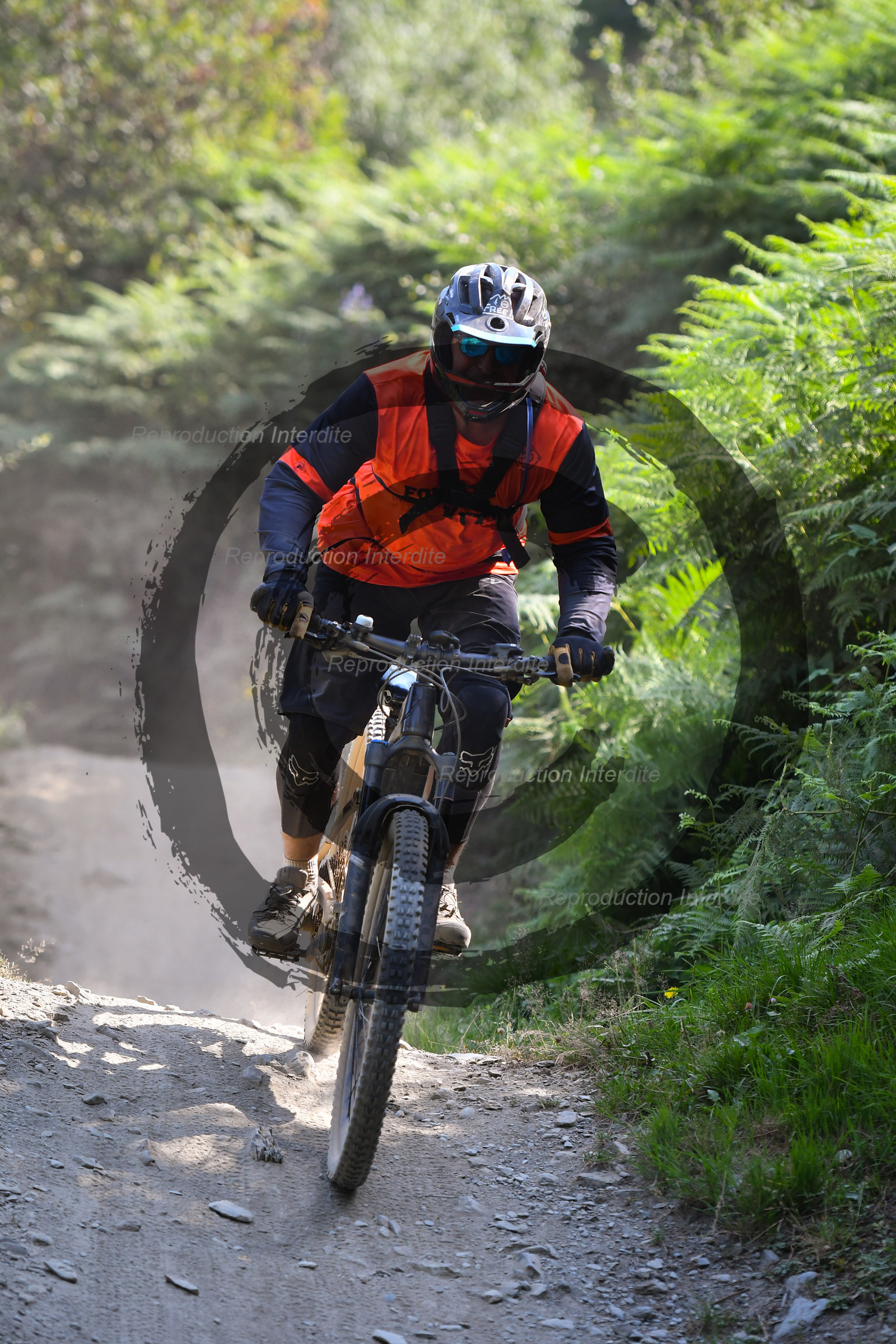 - VAL_3911 - 12H10.jpg