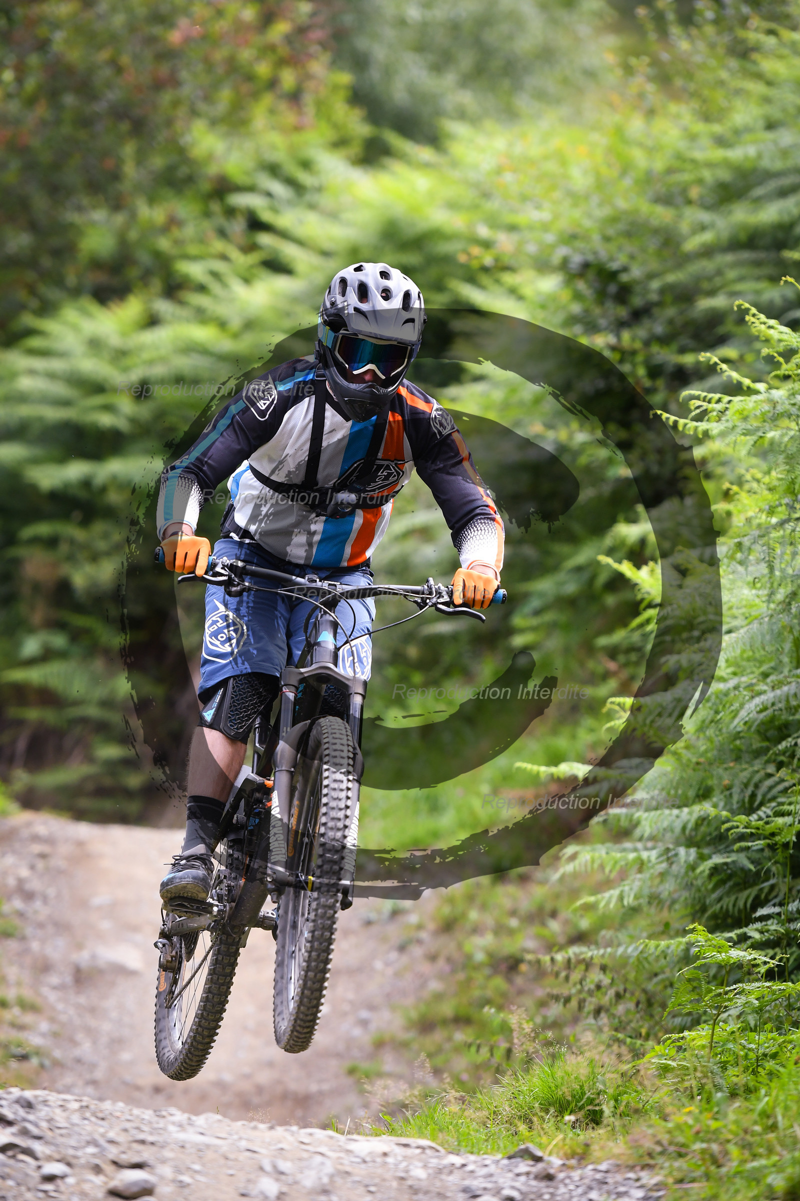 - VAL_9288 - 12H13.jpg