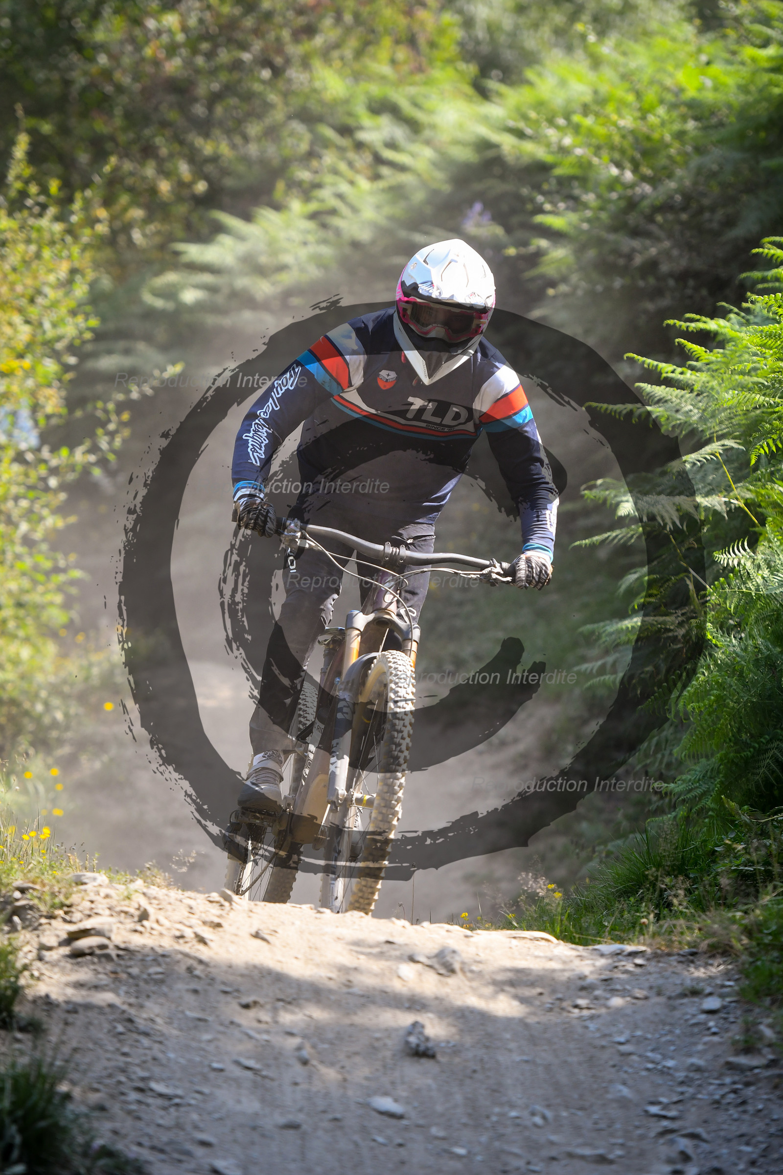 - VAL_3977 - 12H17.jpg