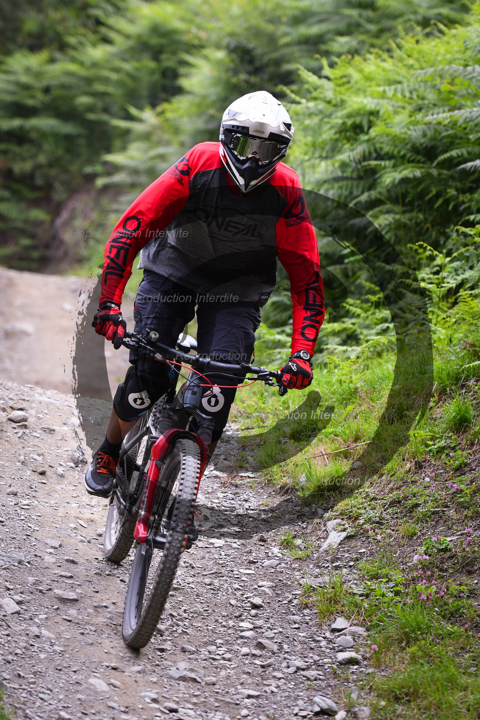 - VAL_9266 - 12H03.jpg