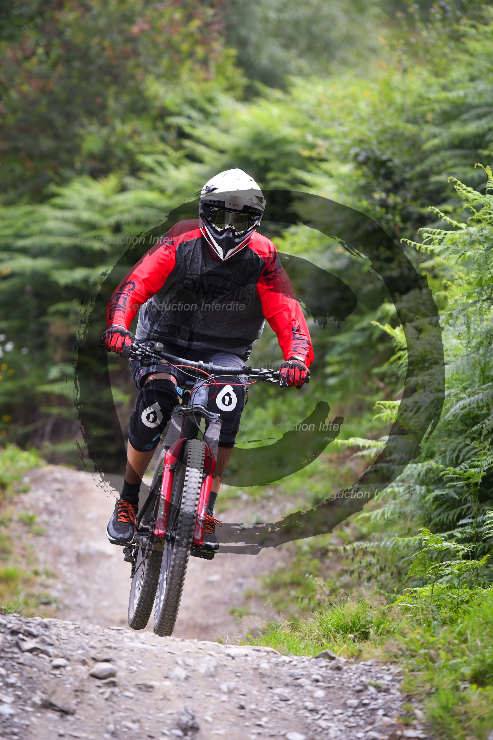 - VAL_9262 - 12H03.jpg