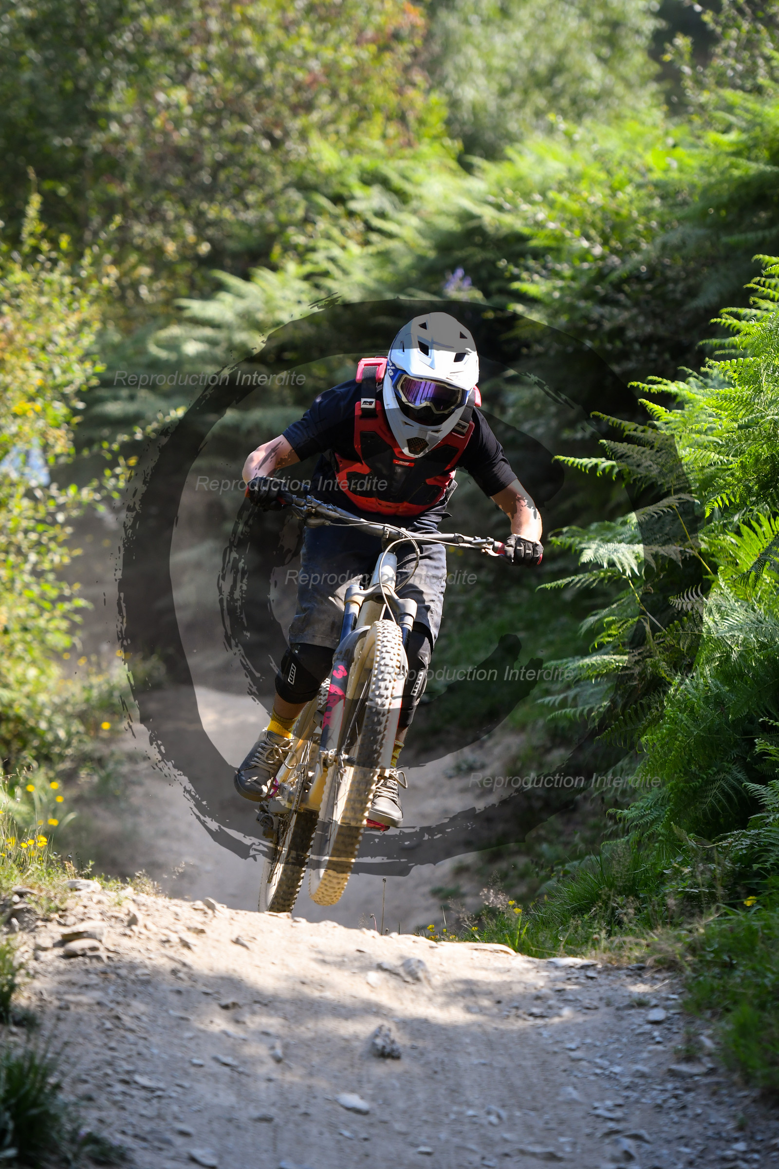 - VAL_3951 - 12H14.jpg