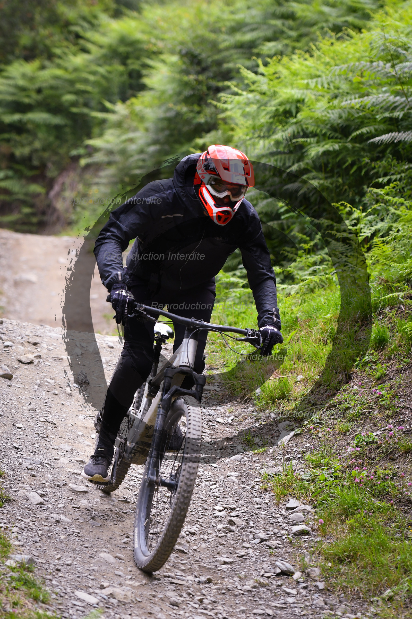 - VAL_9427 - 12H49.jpg