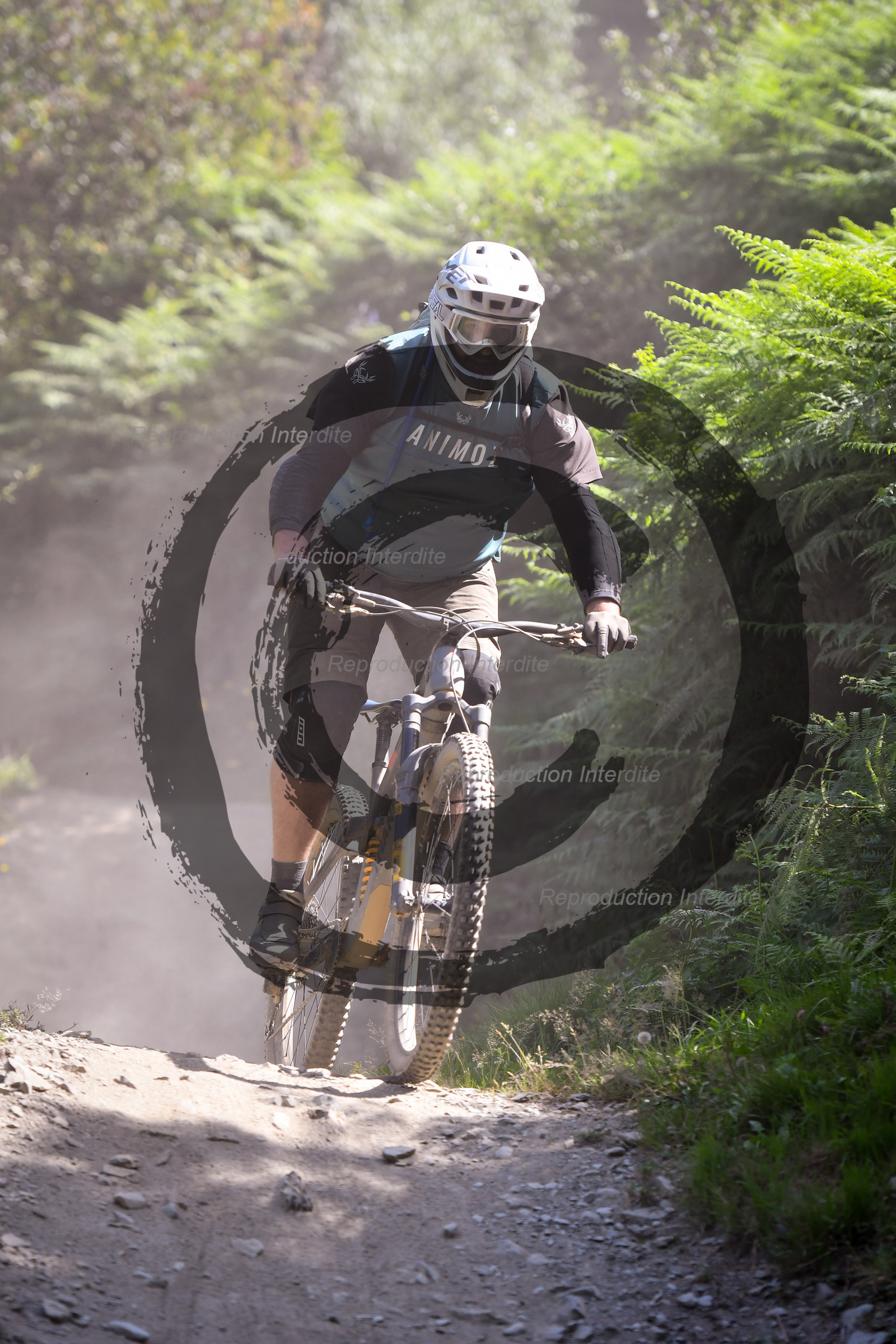 - VAL_2822 - 12H21.jpg