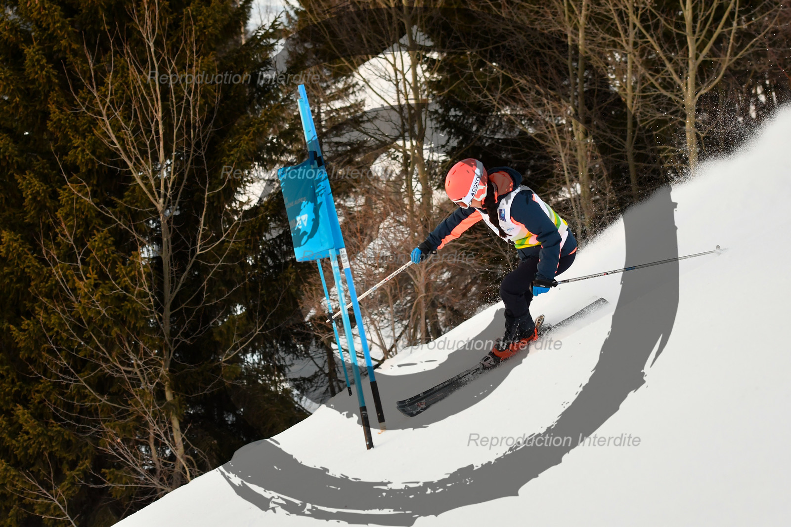 fleche Vaujany ESF Montfrais