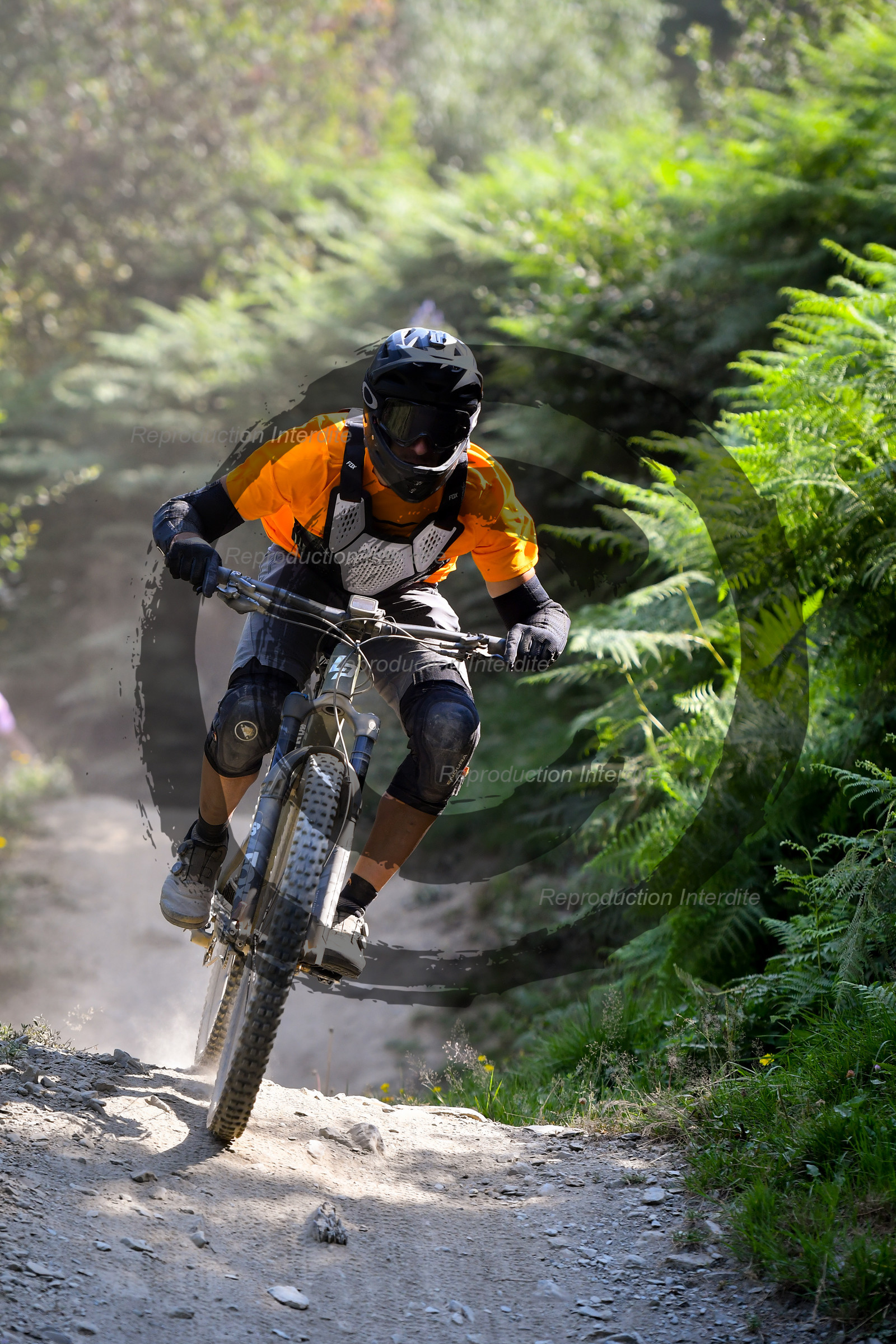 - VAL_3934 - 12H13.jpg