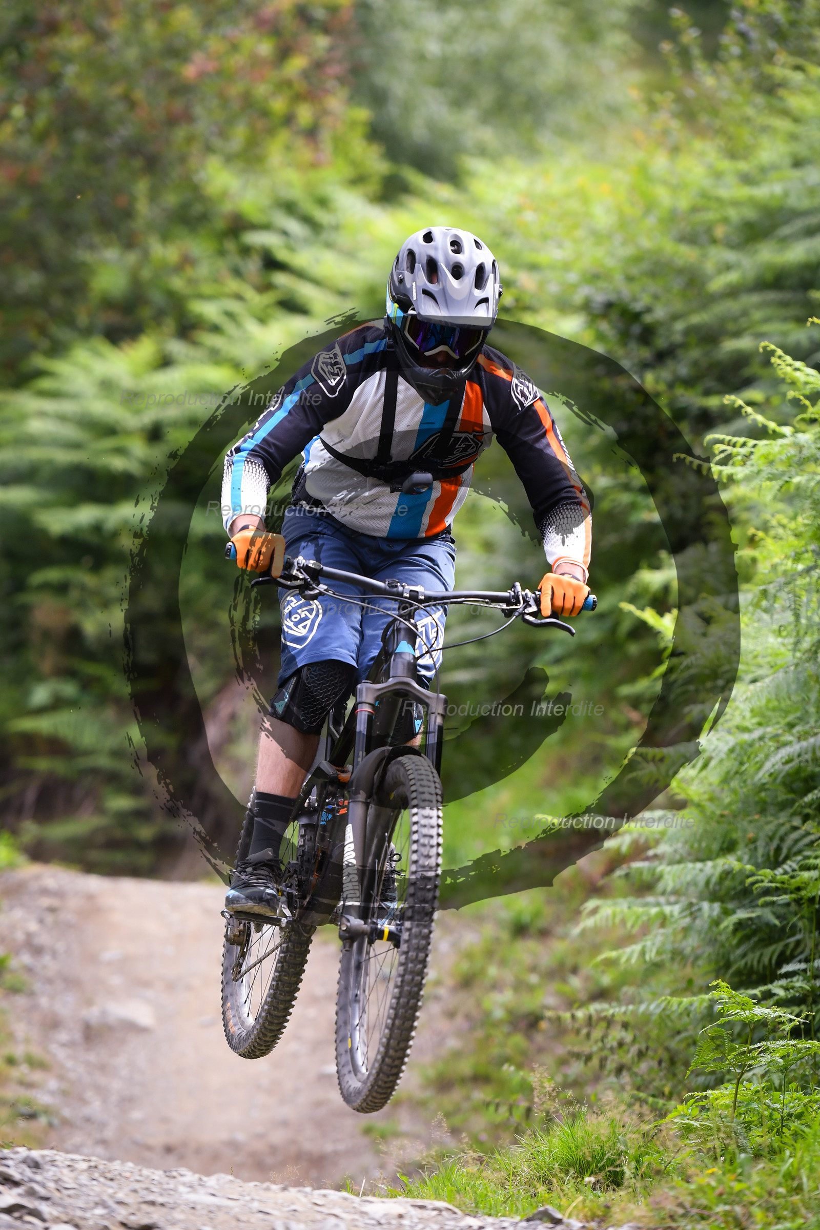 - VAL_9289 - 12H13.jpg