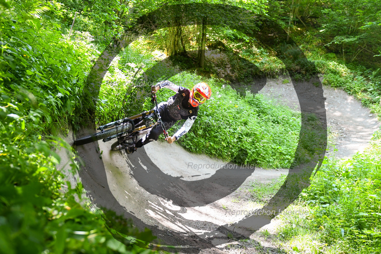 - VAL_4586 - 12H11.jpg