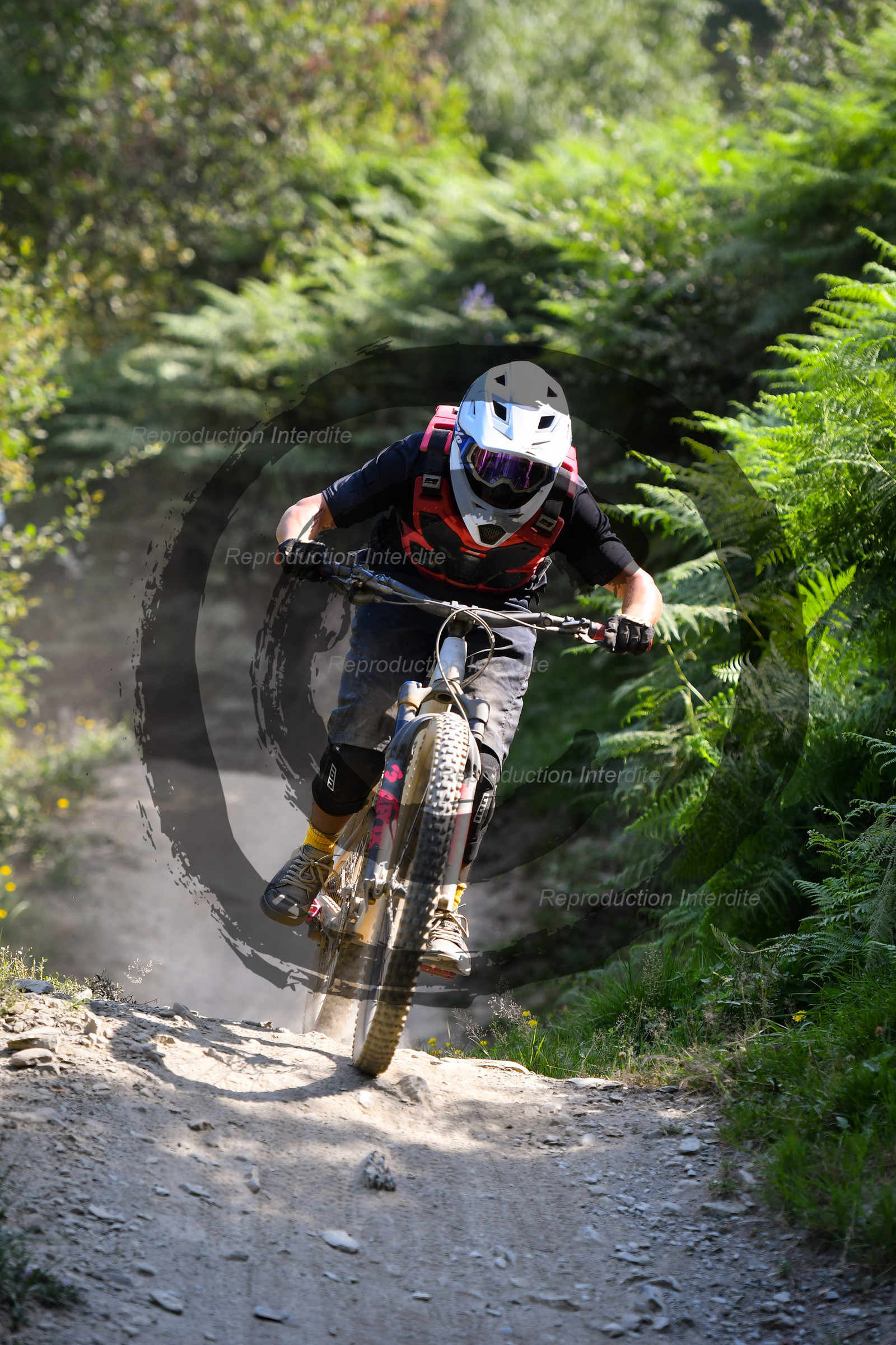 - VAL_3953 - 12H14.jpg