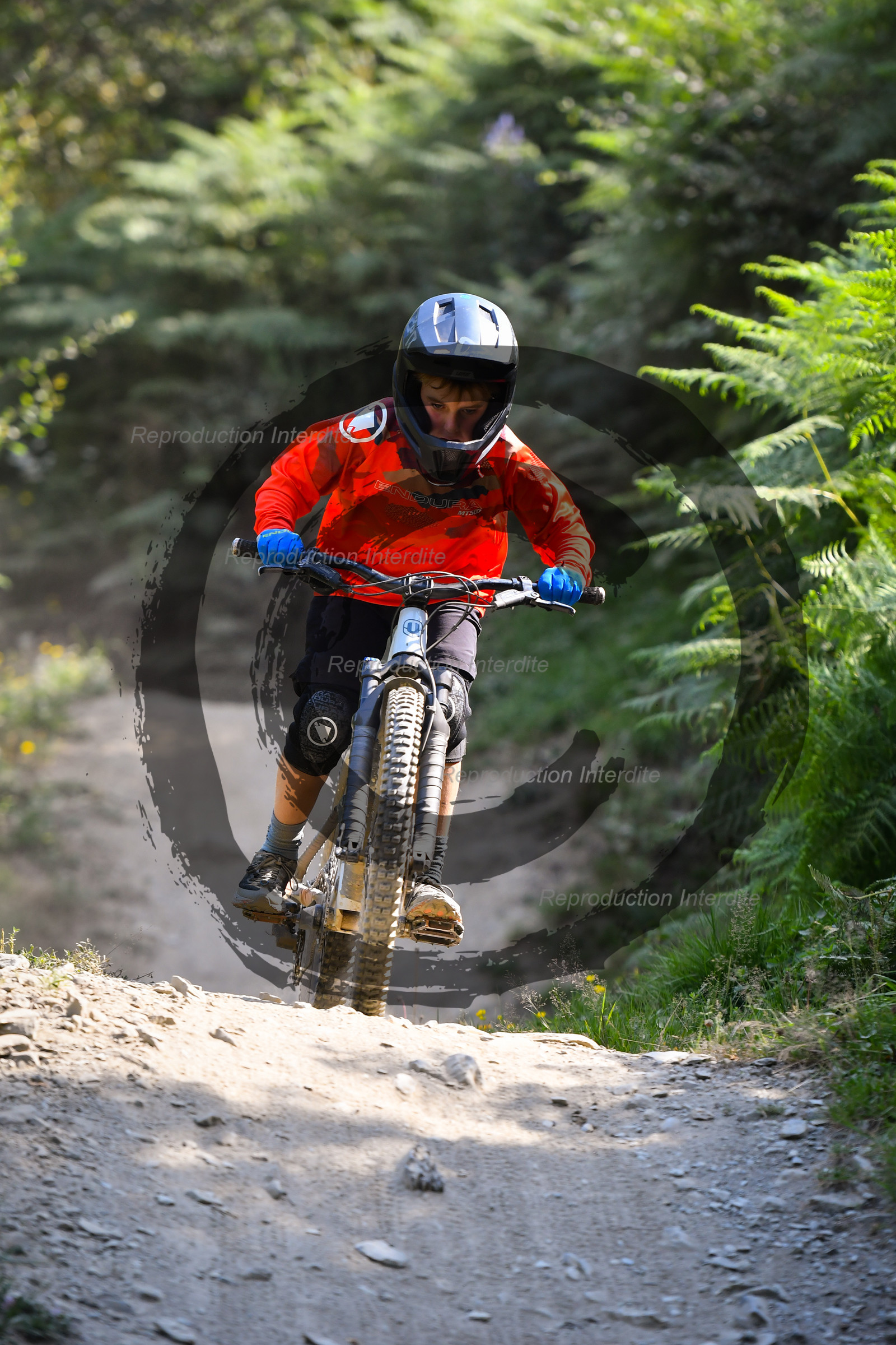 - VAL_3919 - 12H13.jpg